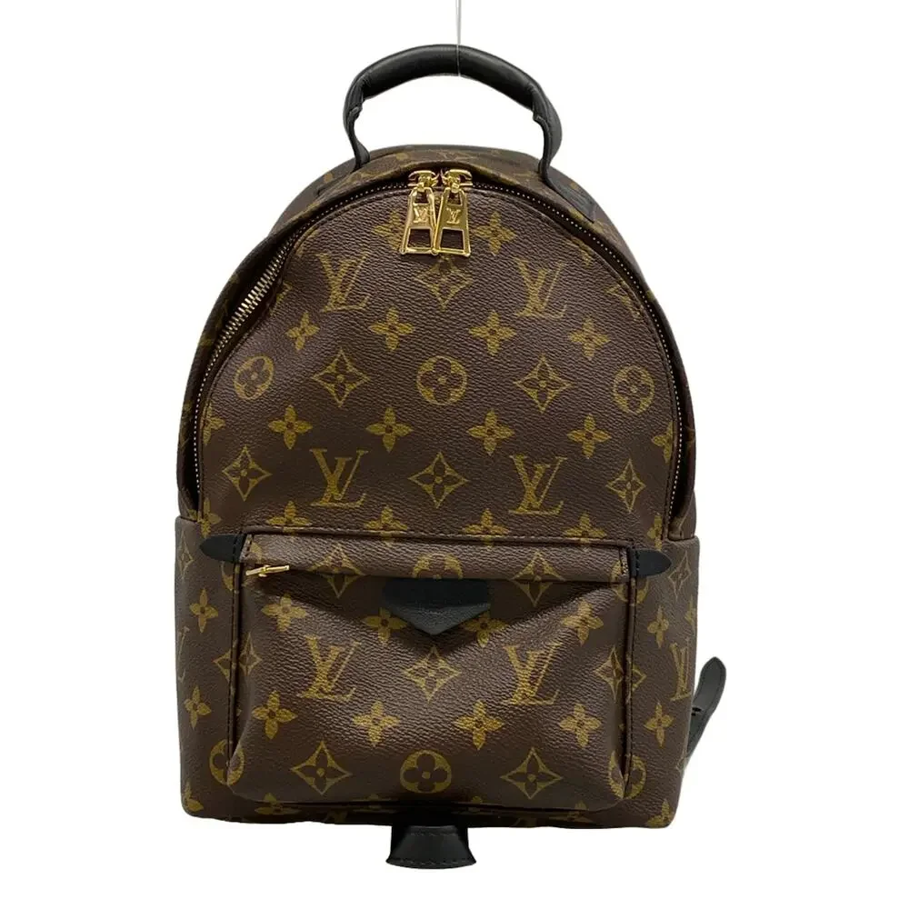 Louis Vuitton Palm Springs Backpack PM Monogram Backpack M41560